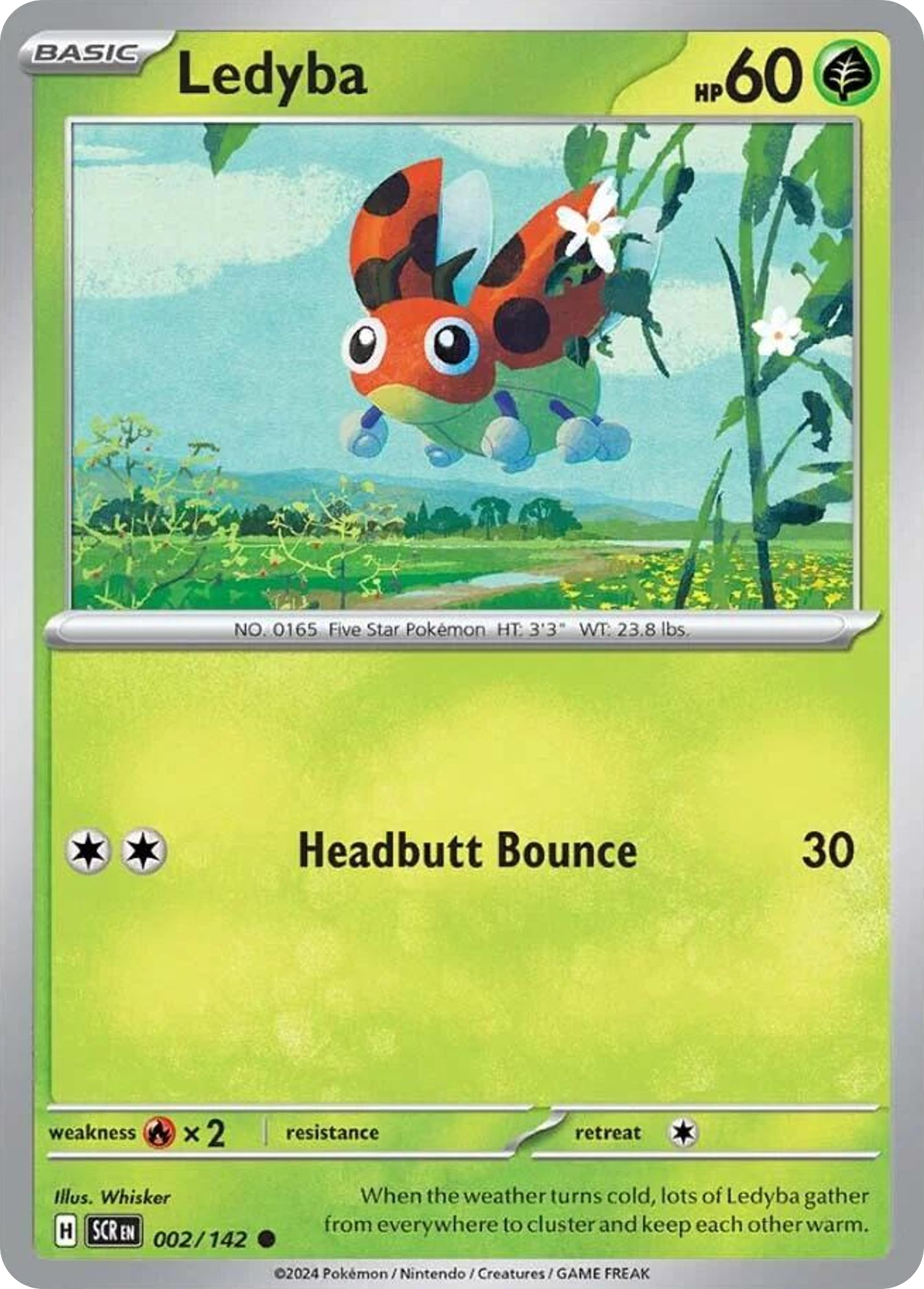 Ledyba from Stellar Crown
